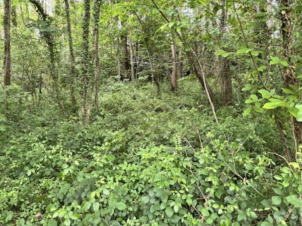 Terrain à vendre 87 920 € Rimont 1772 m² DPE