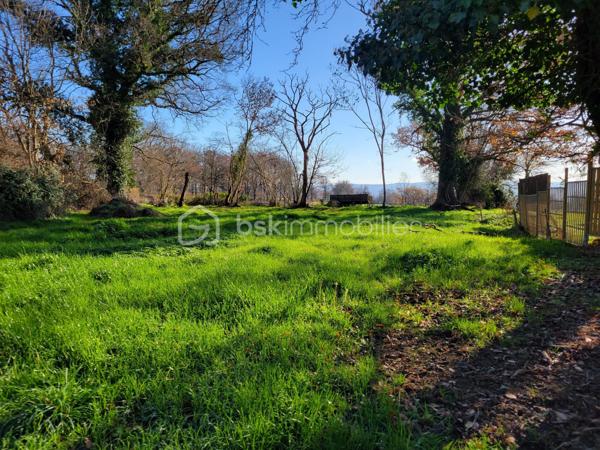 Terrain de 1 441 m²