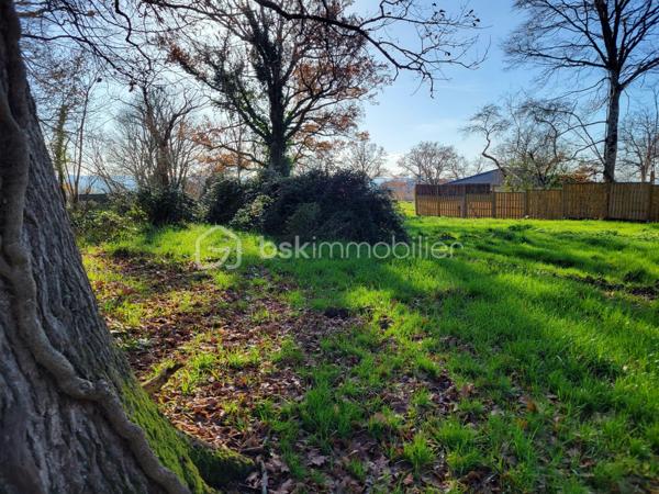 Terrain de 1 441 m²