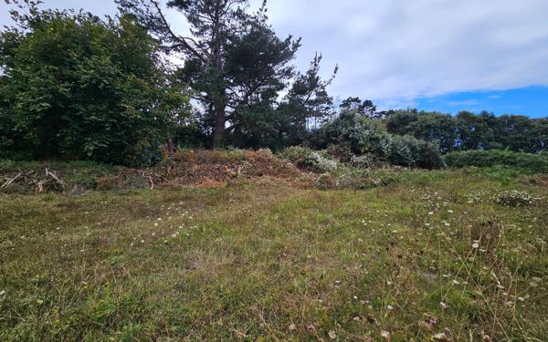 Terrain à vendre    Pleumeur-Bodou