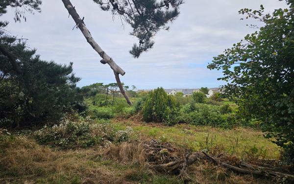 Terrain à vendre    Pleumeur-Bodou