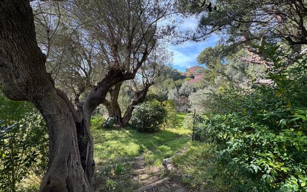 Maison à vendre    4 pièces •  La Valette-du-Var