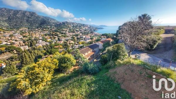 Terrain à vendre 774 m² Le Lavandou