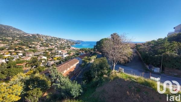 Terrain à vendre 774 m² Le Lavandou