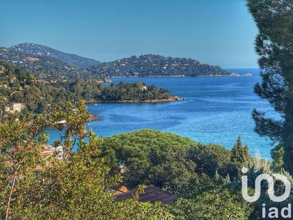 Terrain à vendre 774 m² Le Lavandou