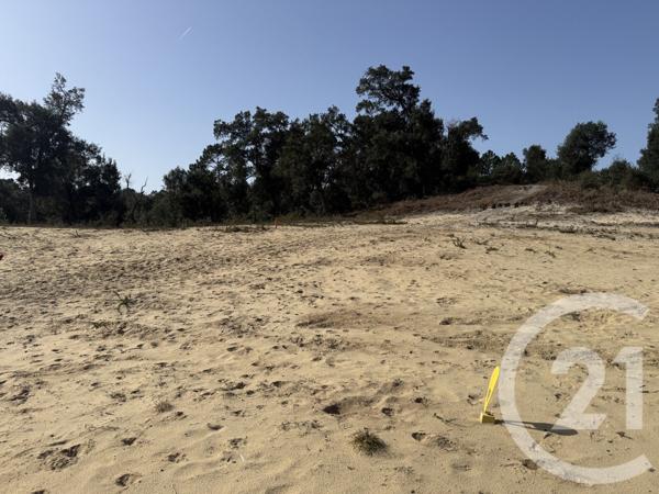 Terrain à vendre  840 m2 LABENNE - 40