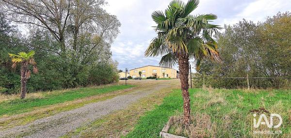 Murs commerciaux  à vendre 610 m² Dammartin-en-Serve