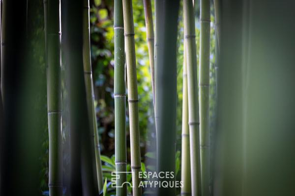 Maison d’architecte avec jardin luxuriant sublimé par la vue