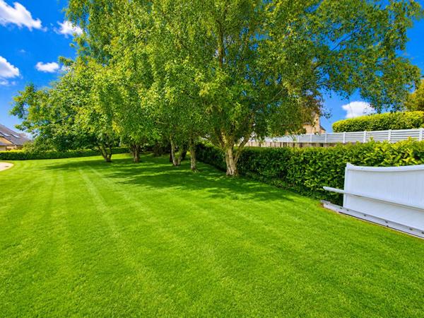 Magnifique propriété de charme de 186 m2 - Longère entièrement rénovée avec beaucoup de potentiel (150 m2 aménageable de plus)  - 5200 m2 de terrain et 3,4 hectares disponibles et attenants