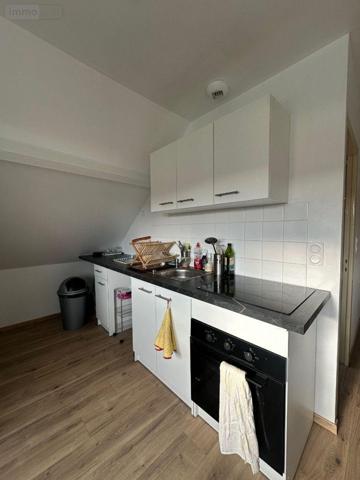 Appartement rénové à louer à Ussel en Corrèze (19200), ref : UL 162