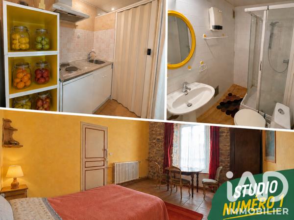 Maison à vendre 7 pièces 236 m² Le Mas-d'Azil
