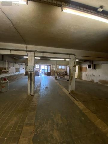 Achat - Immeuble | Local mixte (Pro/Hab) Pusey 70000 10 pièces 1815 m 2