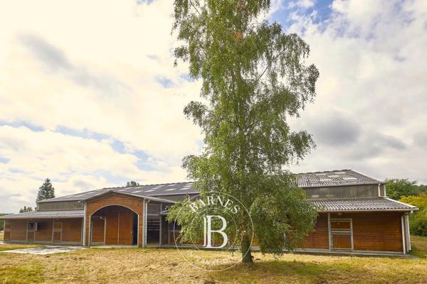 Baugé-en-Anjou, Propriété 7 Chambres -  570 m² à vendre