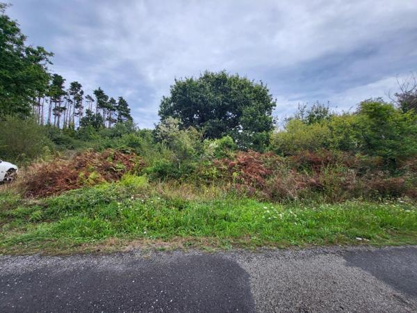 Terrain non constructible à vendre  CROZON (29)