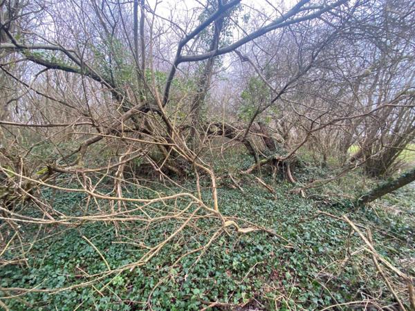 Vente Terrain 12500 m2 à Pré-en-Pail