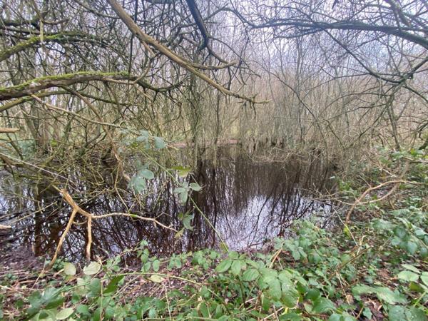 Vente Terrain 12500 m2 à Pré-en-Pail