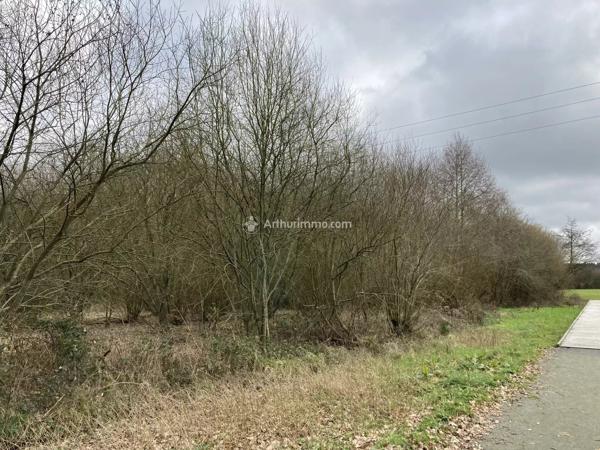 Vente                                                      Terrain
                        
                                         12500 m2                     à Pré-en-Pail