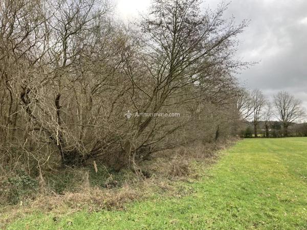 Vente                                                      Terrain
                        
                                         12500 m2                     à Pré-en-Pail