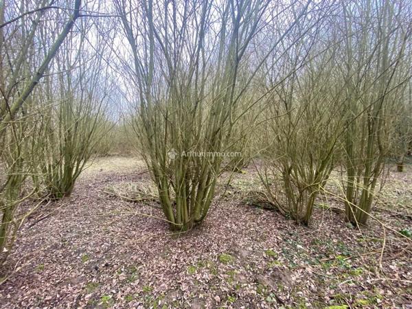 Vente                                                      Terrain
                        
                                         12500 m2                     à Pré-en-Pail
