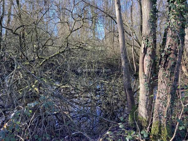 Vente                                                      Terrain
                        
                                         12500 m2                     à Pré-en-Pail