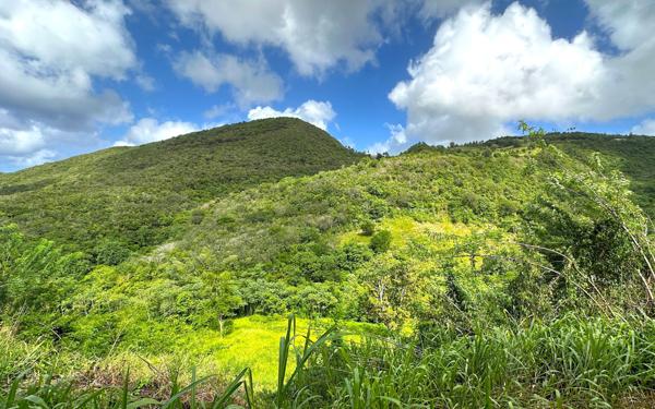 Terrain à vendre    Sainte-Luce