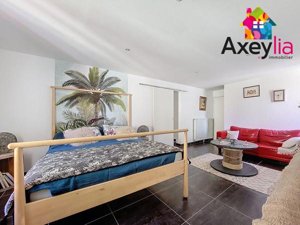 Villerest (42300) BELLE MAISON RENOVEE AVEC TERRAIN