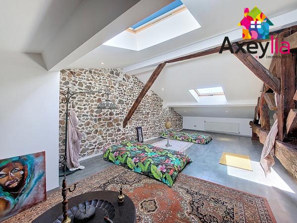 Villerest (42300) BELLE MAISON RENOVEE AVEC TERRAIN