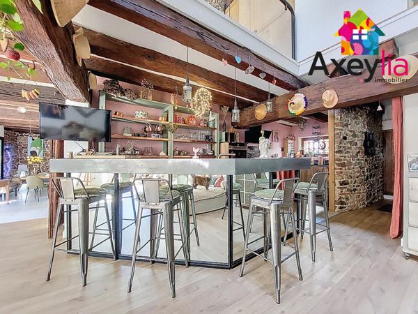 Villerest (42300) BELLE MAISON RENOVEE AVEC TERRAIN