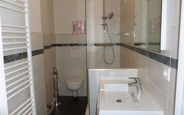 Appartement à louer    2 pièces •  Saint-Étienne