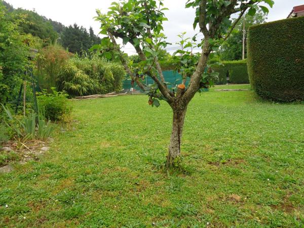 Beauzac(43), chalet de 70 m2 habitables, 2 chambres sur 700 m2 de terrain + piscine hors sol