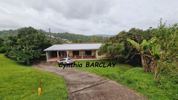 Ensemble Immobilier à SAINTE LUCE (97228)