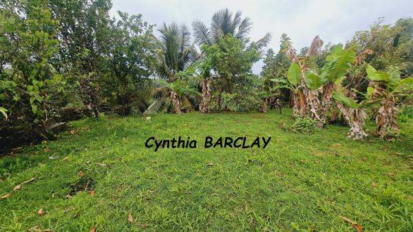 Ensemble Immobilier à SAINTE LUCE (97228)