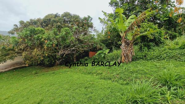 Ensemble Immobilier à SAINTE LUCE (97228)