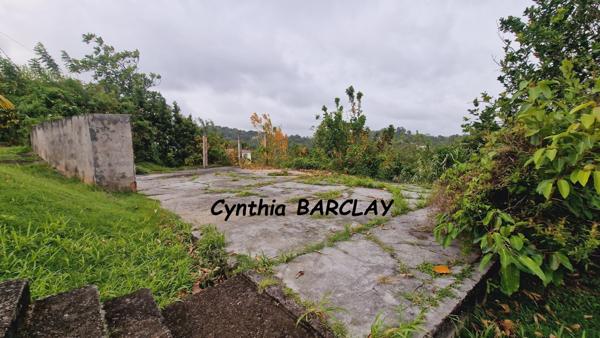 Ensemble Immobilier à SAINTE LUCE (97228)