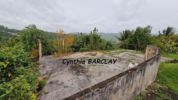 Ensemble Immobilier à SAINTE LUCE (97228)