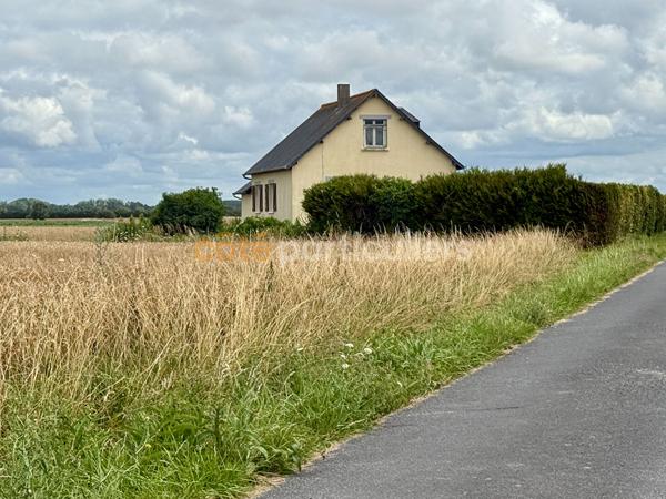 Vente
                Maison77,2 m² - 3 Pièces -
                    ARDEVON (50170)