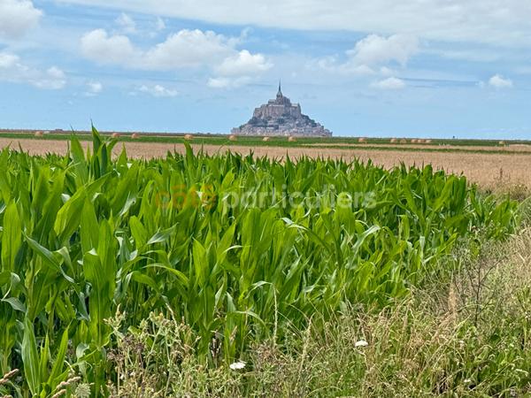 Vente
                Maison77,2 m² - 3 Pièces -
                    ARDEVON (50170)