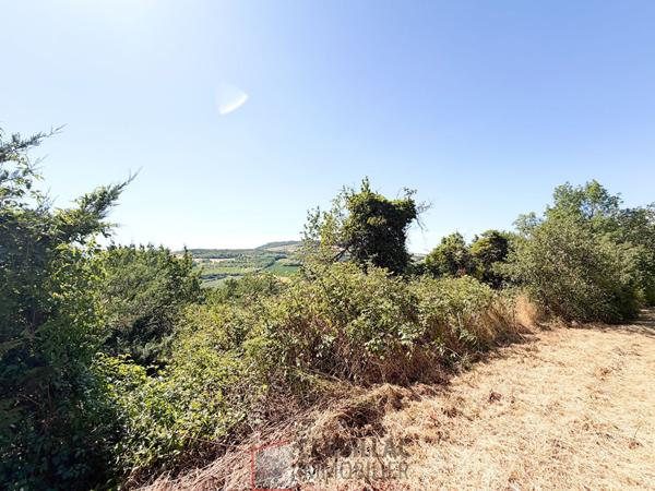 Terrain
