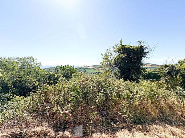 Terrain