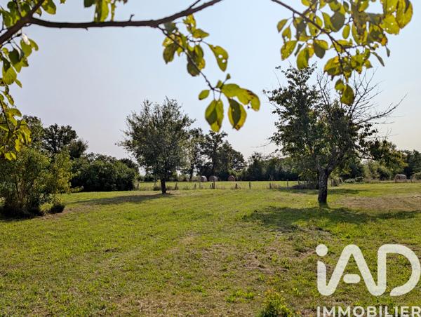 Maison à vendre 6 pièces 132 m² Montipouret