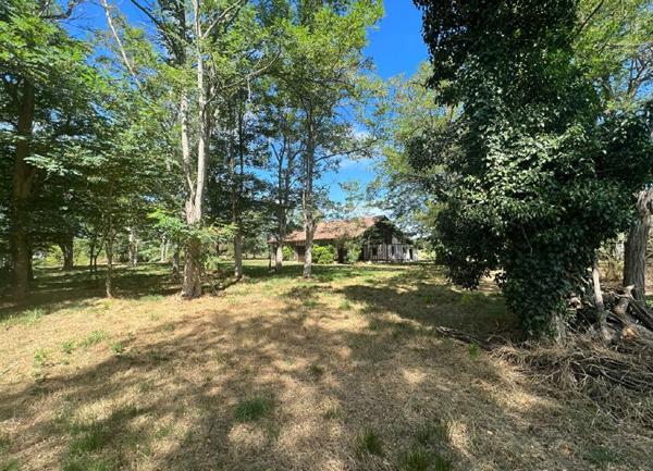 Maison à vendre    6 pièces •  Losse