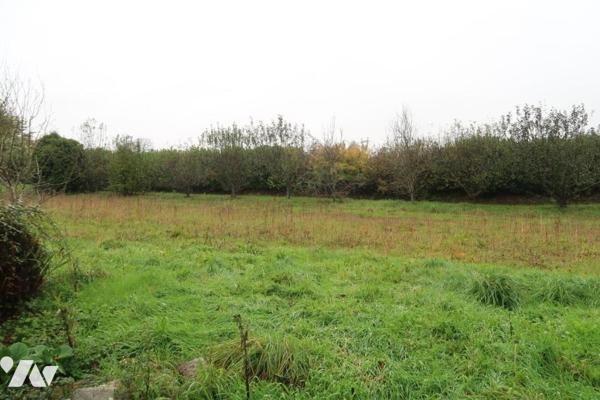 Plouedern (Sortie Landerneau), Neobretonne 5 chambres sur 3 500m² de terrain