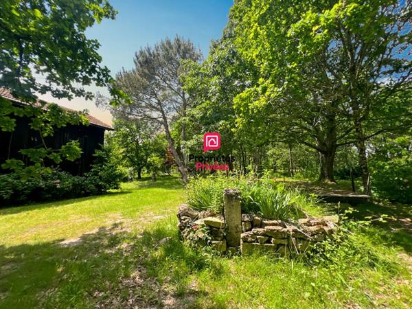 Maison en pierre 118 m² sur plus d'un hectare avec dépendances