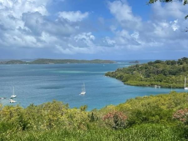 Dpt Martinique (972), à vendre LE ROBERT terrain de 1300 m² vue mer exceptionnelle !!!!!