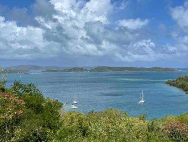 Dpt Martinique (972), à vendre LE ROBERT terrain de 1300 m² vue mer exceptionnelle !!!!!