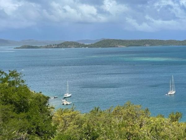 Dpt Martinique (972), à vendre LE ROBERT terrain de 1300 m² vue mer exceptionnelle !!!!!