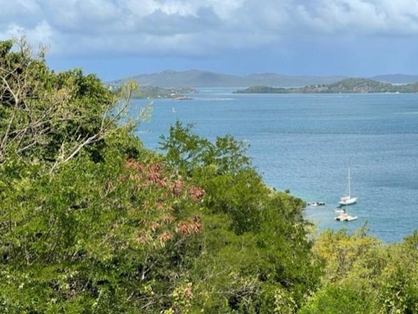 Dpt Martinique (972), à vendre LE ROBERT terrain de 1300 m² vue mer exceptionnelle !!!!!