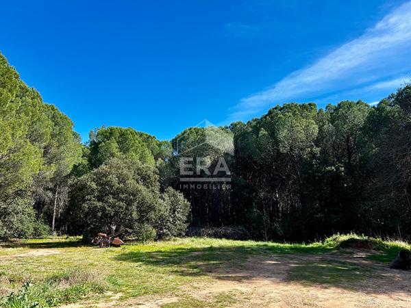 Propriété Le Cannet des Maures au milieu de 8 hectares