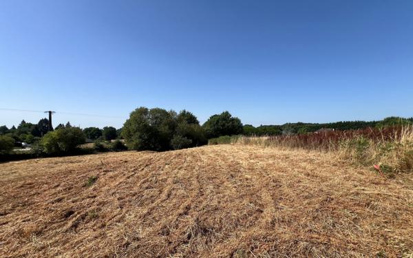Terrain à vendre