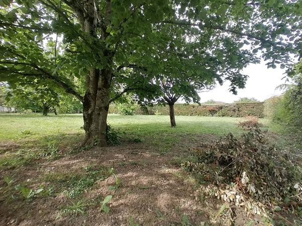 Gaillac , Terrain de 914 m²
